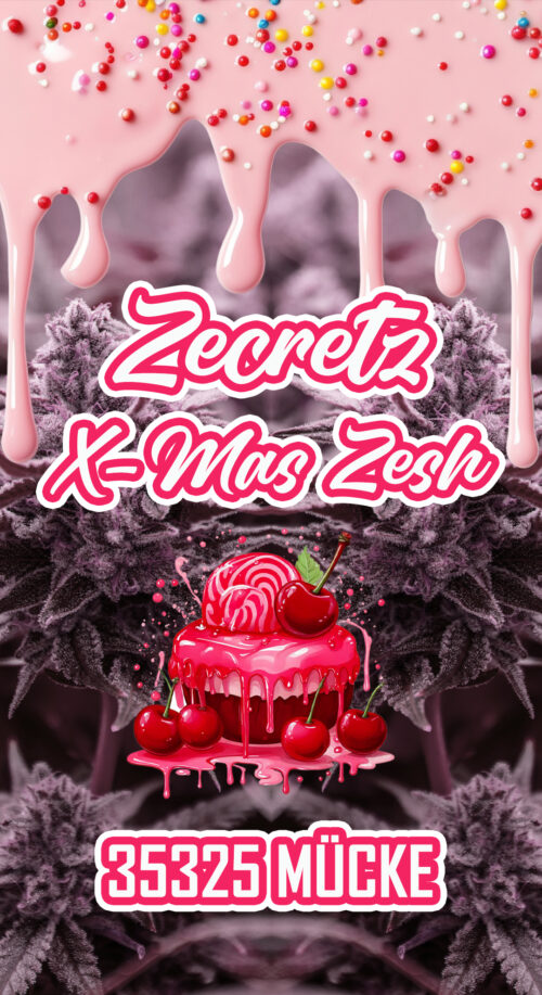 Ticket Zecretz X-Mas Zesh